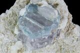 Aquamarine/Morganite Crystal in Albite Crystal Matrix - Pakistan #111365-2